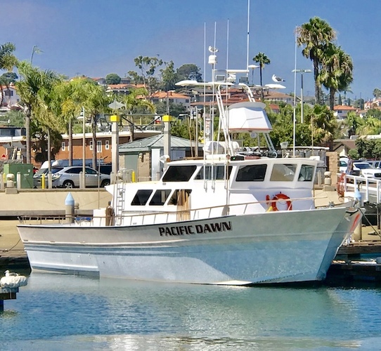 59' Pacific Dawn hosts up to 24 Passengers in custom, air-conditioned bunks; a full service galley; 2 heads and shower; a full, experienced, and friendly crew to help with all your fishing needs!